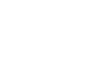IronEqual Logo